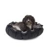 Lily Pad Bed Char
