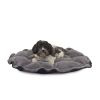 Lily Pad Bed Char